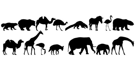 Similar image 21556032