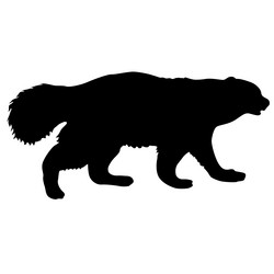 Similar image 21556079