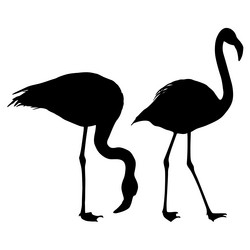 Similar image 21556083