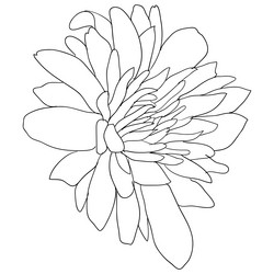 Similar image 21556099