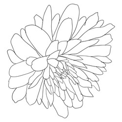 Similar image 21558949