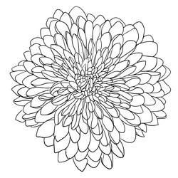 Similar image 21610058