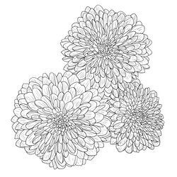 Similar image 21610063