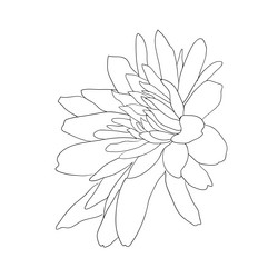 Similar image 21611523