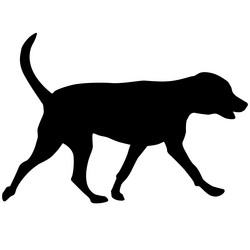 Similar image 21610070