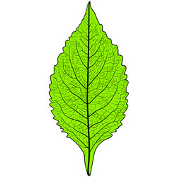 Similar image 21630720