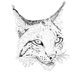 Similar image 21630938