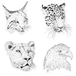 Similar image 21631264