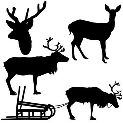 Similar image 21609585