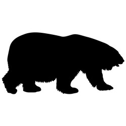 Similar image 21556116