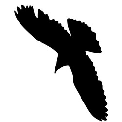 Similar image 21558953