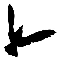 Similar image 21558954