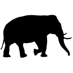 Similar image 21609600