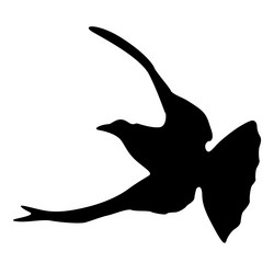 Similar image 21609601