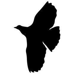 Similar image 21609602