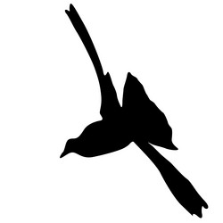 Similar image 21609603