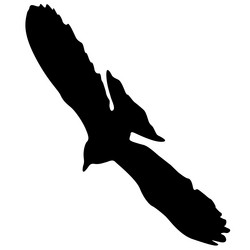 Similar image 21609605