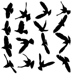 Similar image 21609609