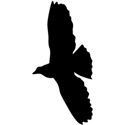 Similar image 21609611