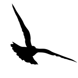 Similar image 21556138