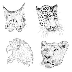 Similar image 21611564