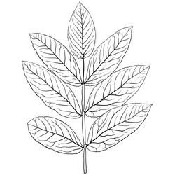 Similar image 21611785