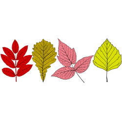 Similar image 21630116