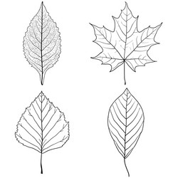 Similar image 21630604