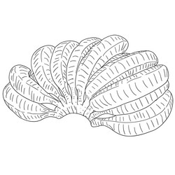 Similar image 21630607