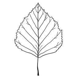 Similar image 21630747