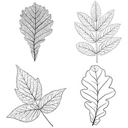 Similar image 21630748