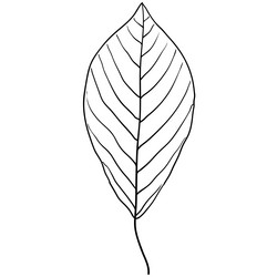 Similar image 21630753