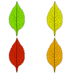 Similar image 21556145