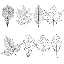 Similar image 21556147