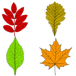 Similar image 21556149