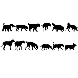 Similar image 21609658