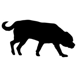 Similar image 21611567