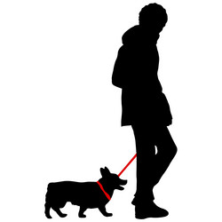 Similar image 21631175