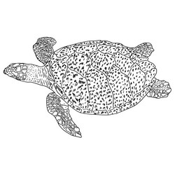 Similar image 21554670