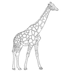 Similar image 21556157