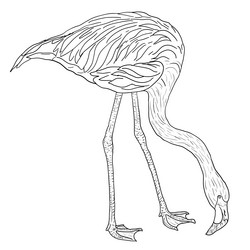 Similar image 21556162