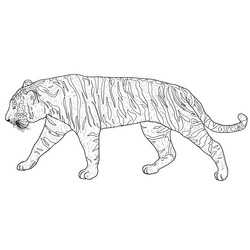 Similar image 21609664