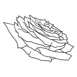 Similar image 21630767