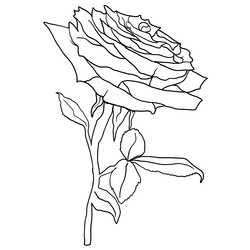 Similar image 21630977