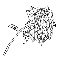 Similar image 21631120