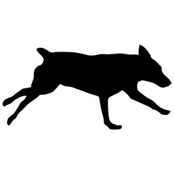 Similar image 21558966