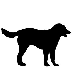 Similar image 21609686