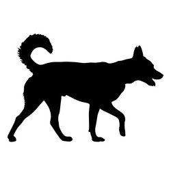 Similar image 21610119