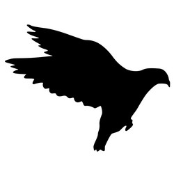 Similar image 21630991