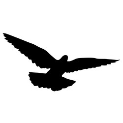 Similar image 21630997